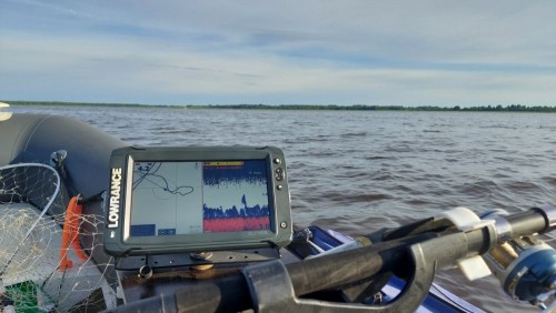 20240616_065346.jpg
