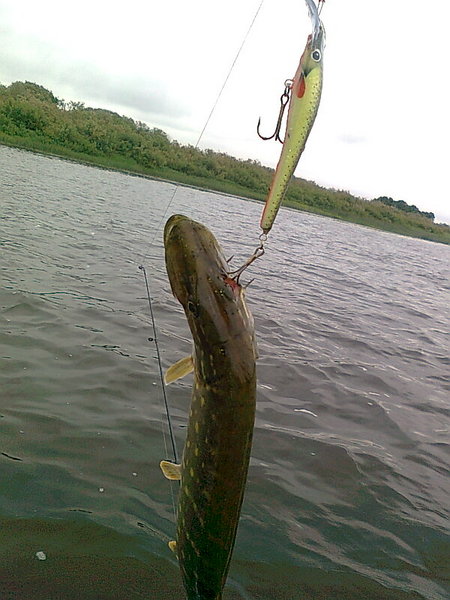 Изображение 1348.jpg