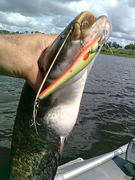 Изображение 1351.jpg