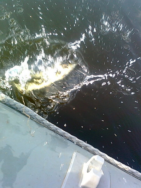 Изображение 1366.jpg