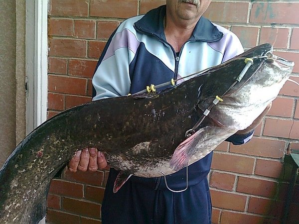 Изображение 1384.jpg