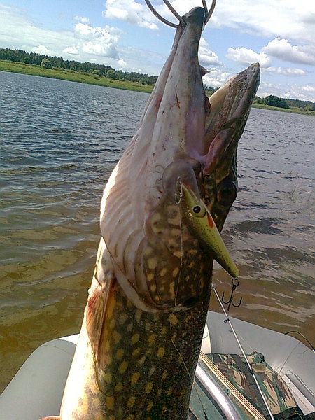 Изображение 1370.jpg