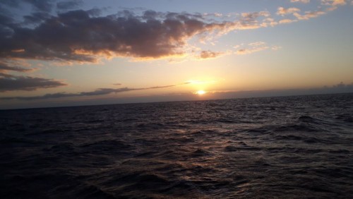 20240706_043457.jpg