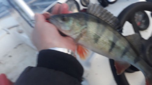 20240706_035959.jpg