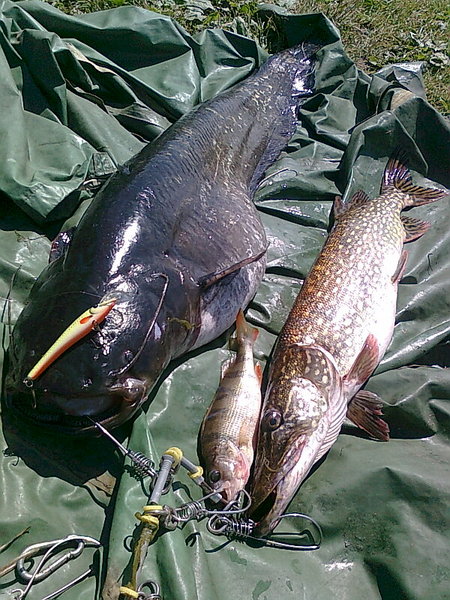 Изображение 1373.jpg