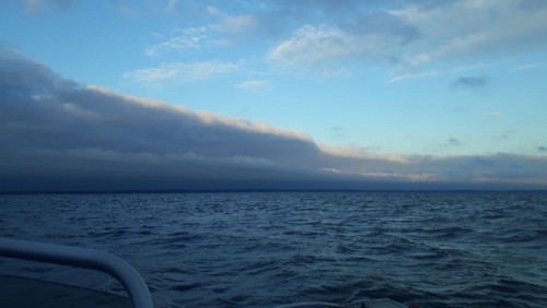 20240720_052620.jpg