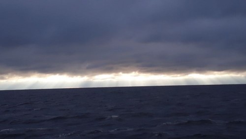 20240720_061606.jpg