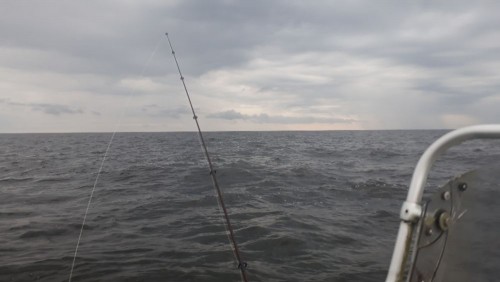 20240810_055901.jpg