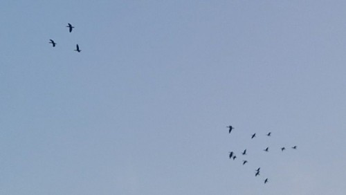 20240827_061915.jpg