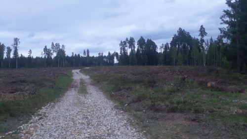 20240823_175837.jpg