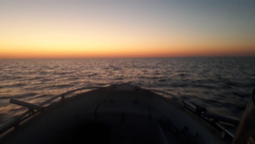 20240907_055016.jpg
