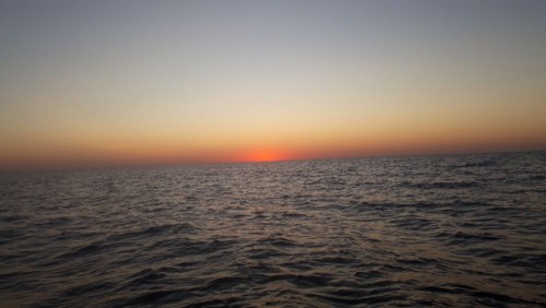 20240907_062234.jpg