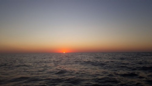 20240907_062405.jpg