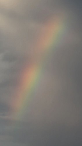 20240915_073220.jpg
