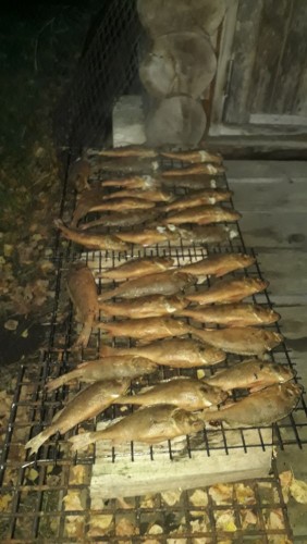 20240928_185952.jpg