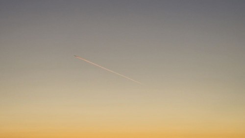 20241018_074830.jpg