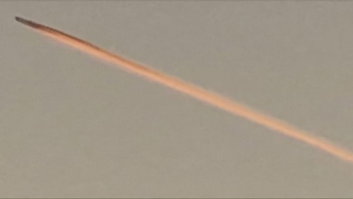 20241018_074829.jpg
