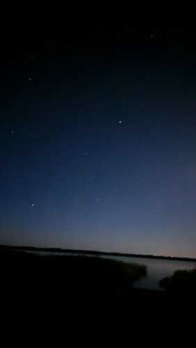 20241018_065027.jpg