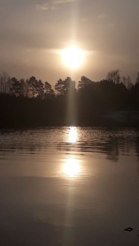 20241123_093308.jpg
