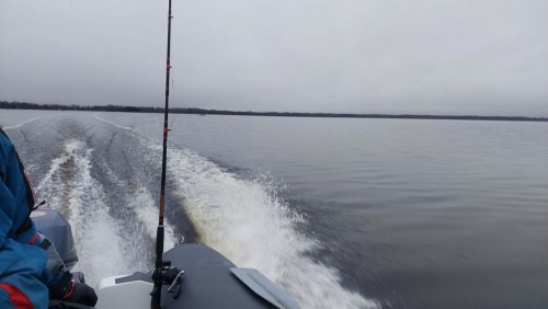 20241228_100604.jpg