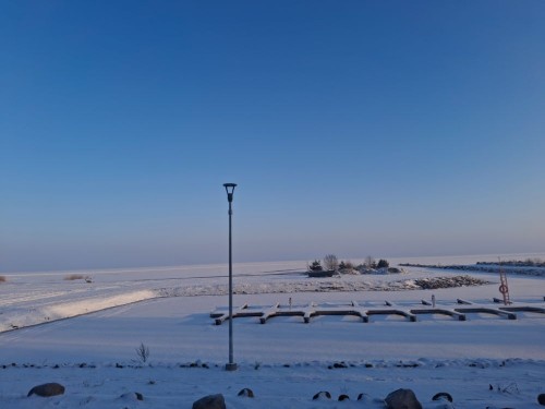20250209_090835.jpg