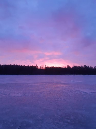 20250320_060307.jpg