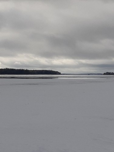 20250318_115314.jpg