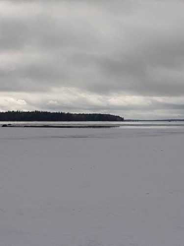 20250318_115319.jpg