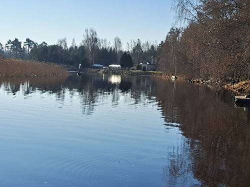 20250329_090449.jpg