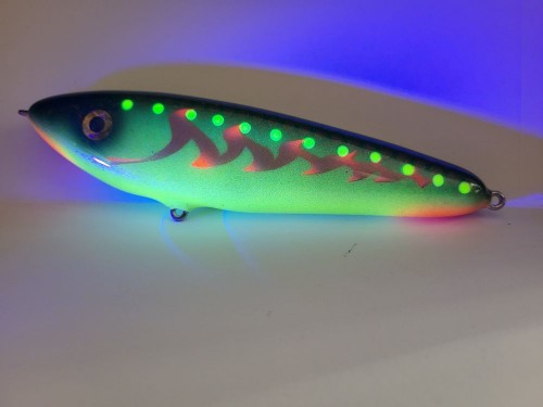 20250216_123038.jpg