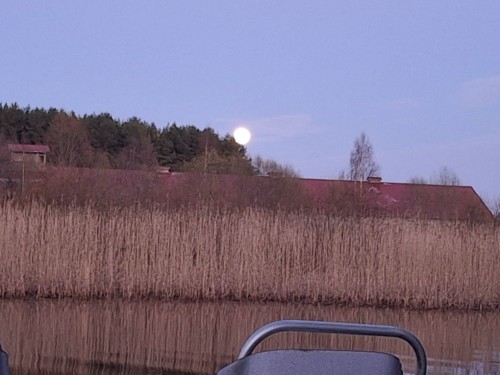 20250412_204354.jpg