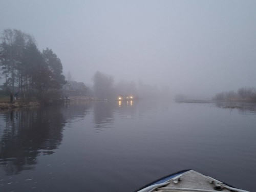 20250418_054132.jpg