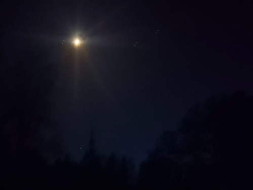 20250503_231440.jpg