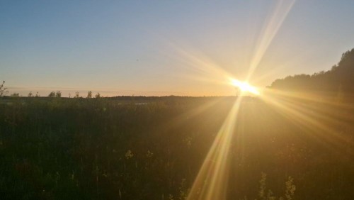 20250527_213817.jpg