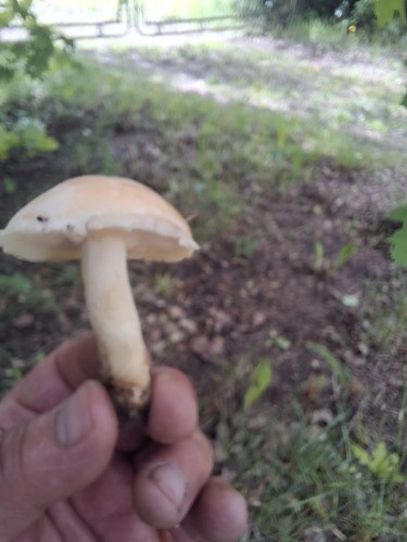 20250531_114627.jpg