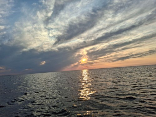 20250615_045910.jpg