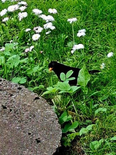 20250618_173441.jpg