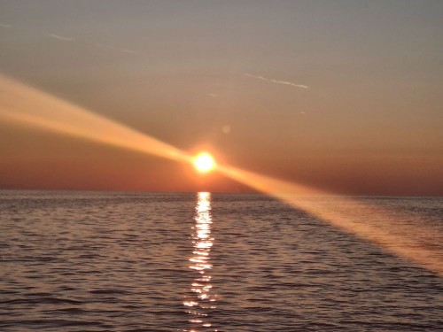 20250623_042541.jpg