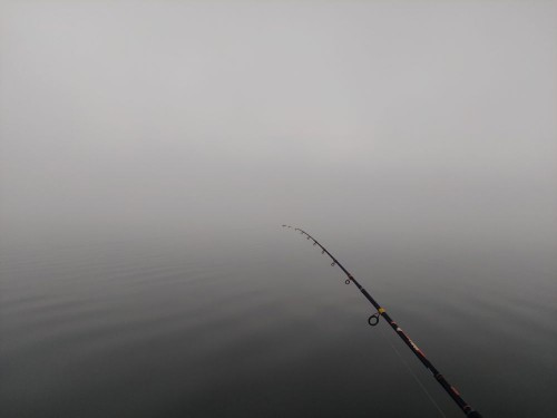 20250627_040400.jpg