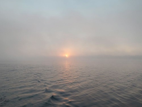 20250627_044150.jpg