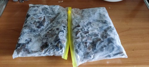 IMG_20250629_132913[1].jpg