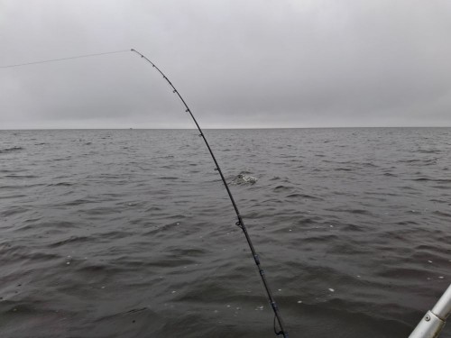 20250628_065703.jpg
