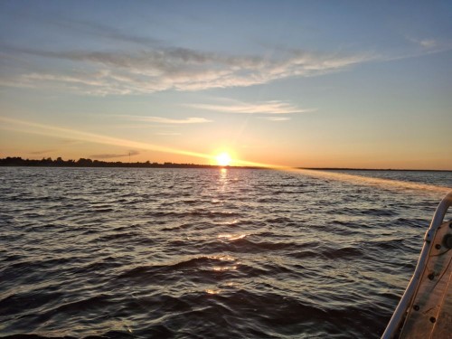 20250704_215755.jpg