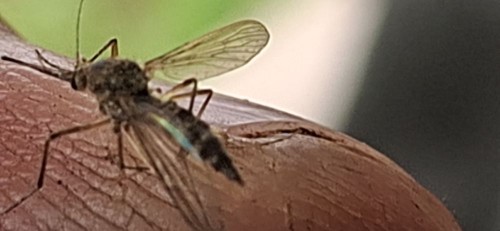 20250706_131527.jpg