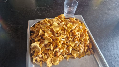 20250712_141100.jpg