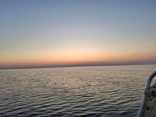 20250726_044147.jpg