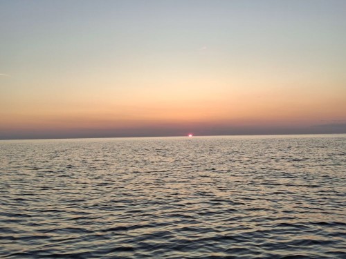 20250726_044920.jpg