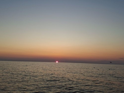 20250726_045119.jpg