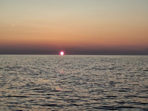 20250726_045345.jpg