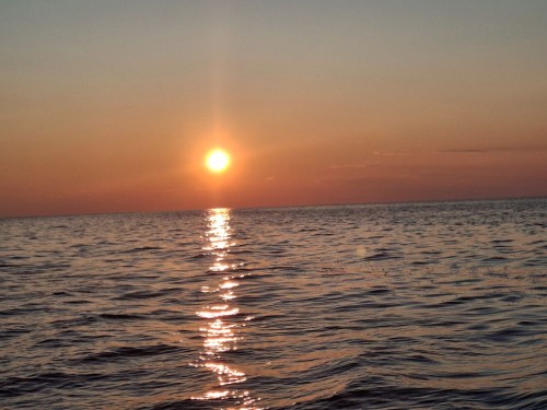 20250726_051646.jpg